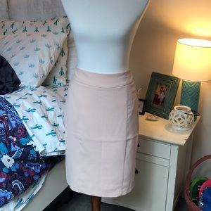Blush pink waisted skirt